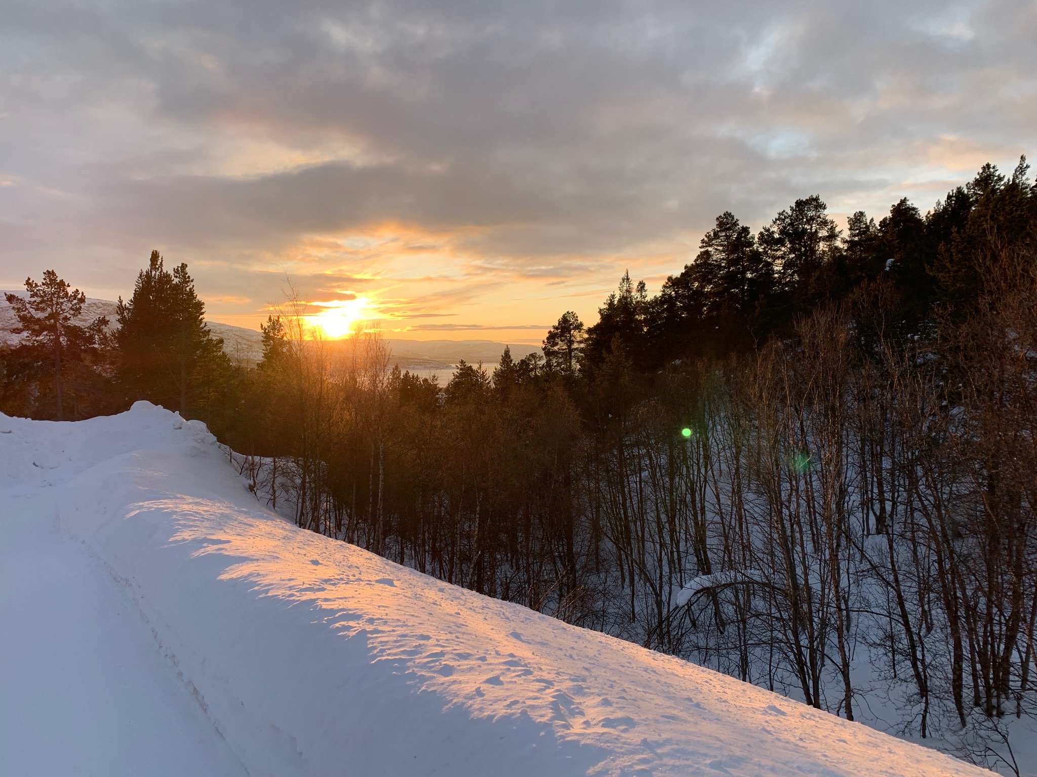 Bjornfjell Mountain Lodge-官方