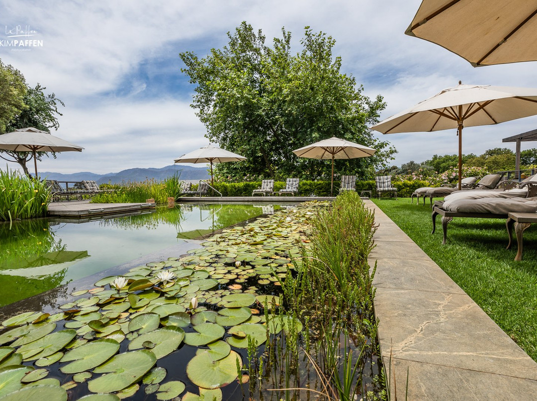 Angala Boutique Hotel主图