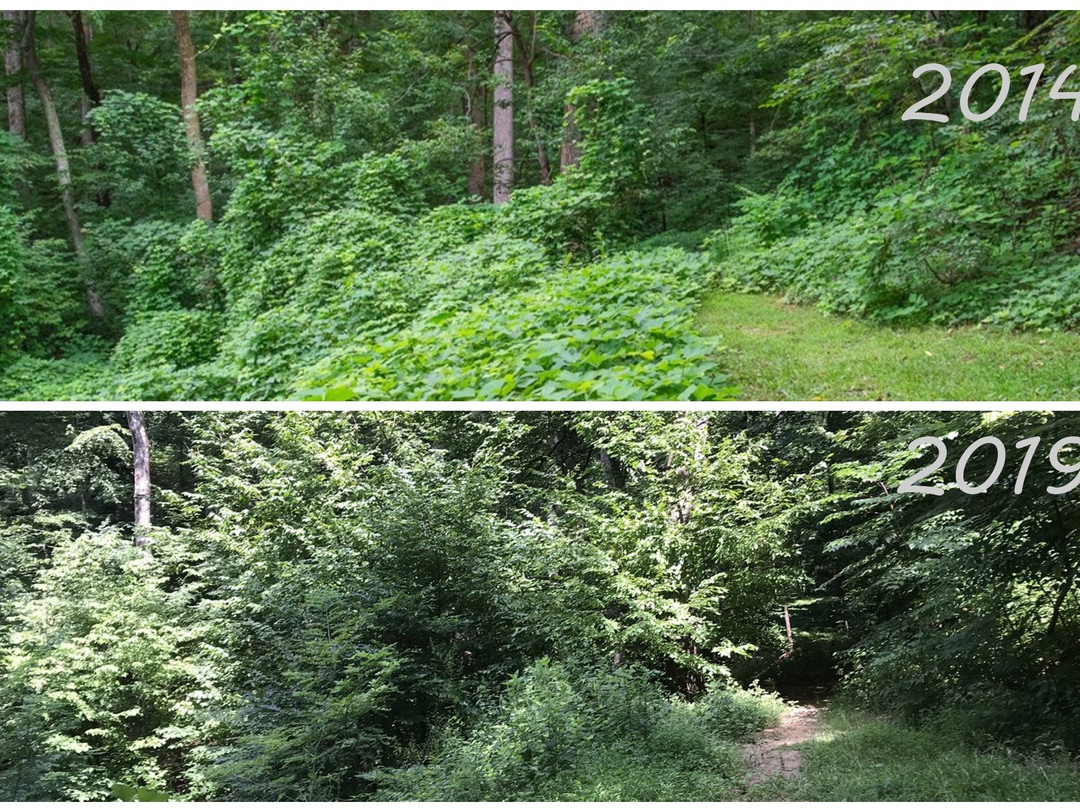 Norman Wilder Forest Trail景点图片