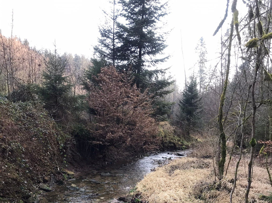 Naturpark Schwaebisch-Fränkischer Wald景点图片