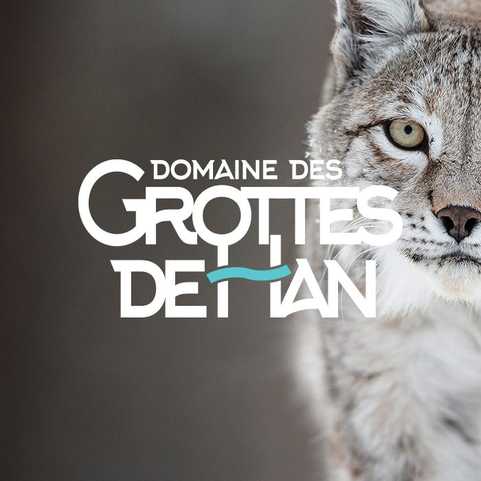 Domaine Des Grottes De Han景点图片