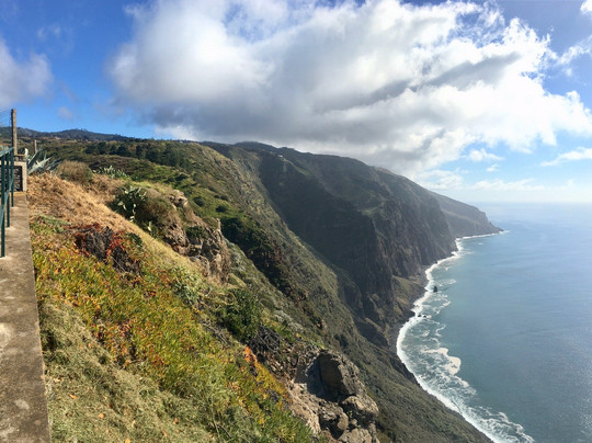 Madeira Wind Birds-沙尔必去景点