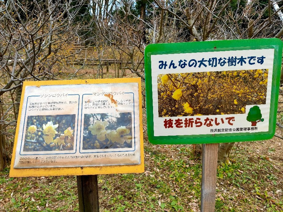 Robai Park-所泽市必去景点