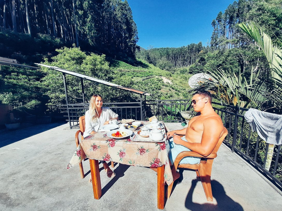 Pine Trees Homestay主图