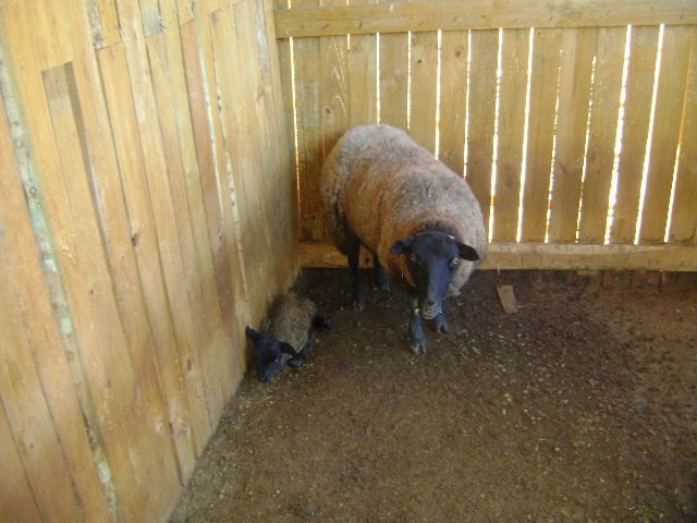 Casona Las Catalinas主图