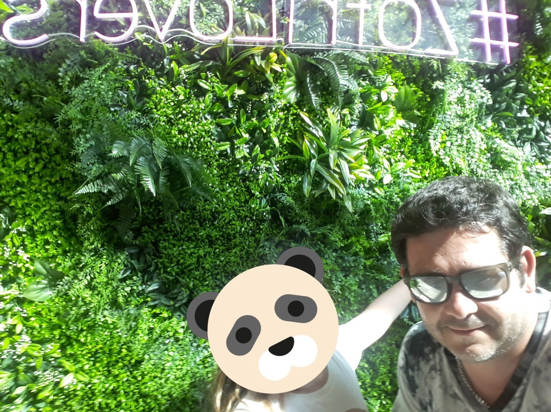 Mall Zofri-伊基克必去景点