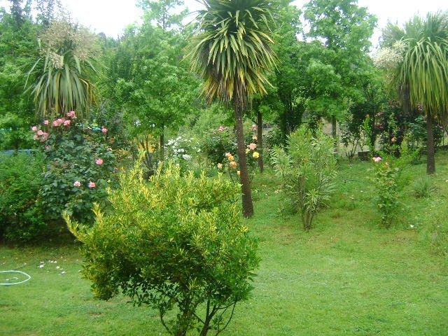 Casona Las Catalinas主图