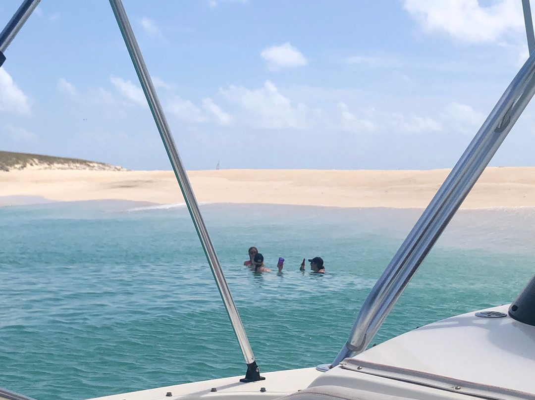 Salt Cay Whale Adventures-Salt Cay必去景点