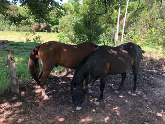 梨雅丽萨住宿加早餐旅馆主图