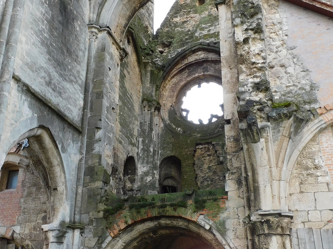 Zsámbék Premontre monastery church ruin景点图片