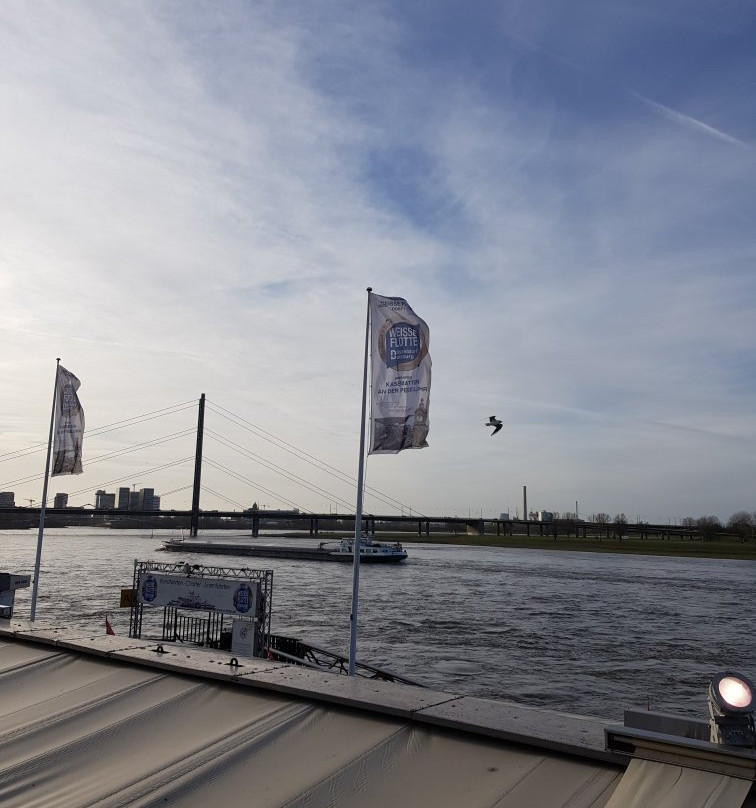 River Rhine景点图片