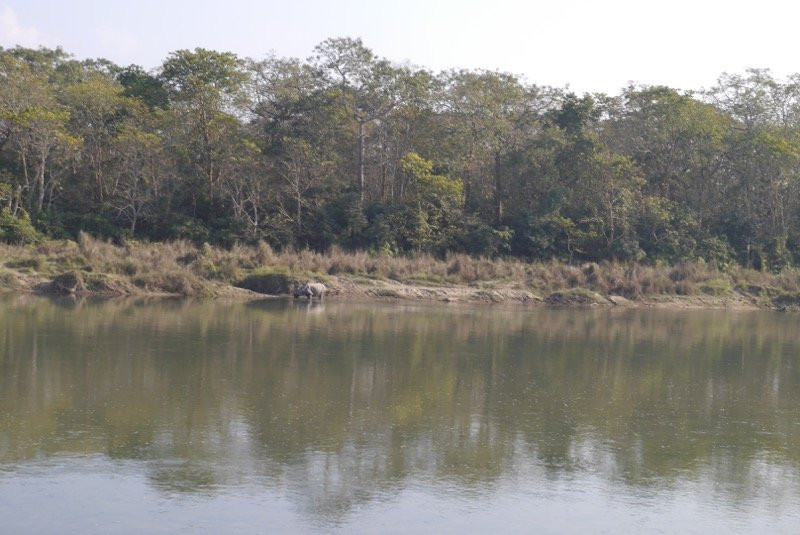Narayani River景点图片