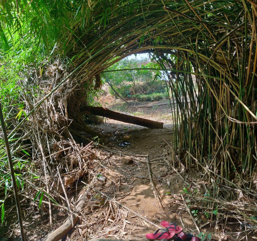 Meenmutty Heights主图