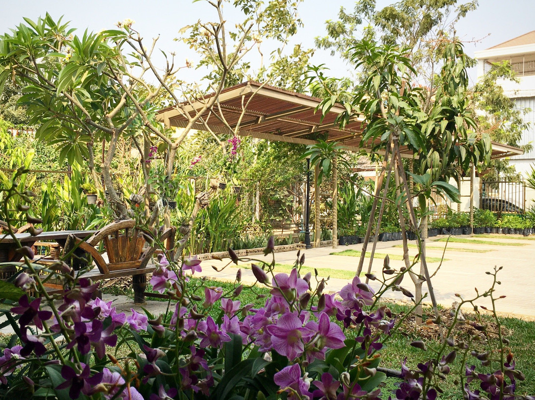 Lily Skincare & Spa-万象必去景点