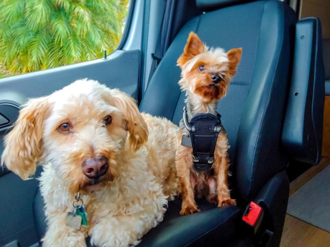 Outpost Vans-欧申赛德必去景点