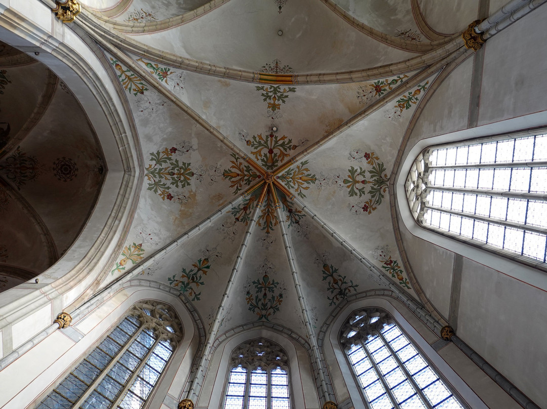 Grote of St. Michaelskerk-兹沃勒必去景点