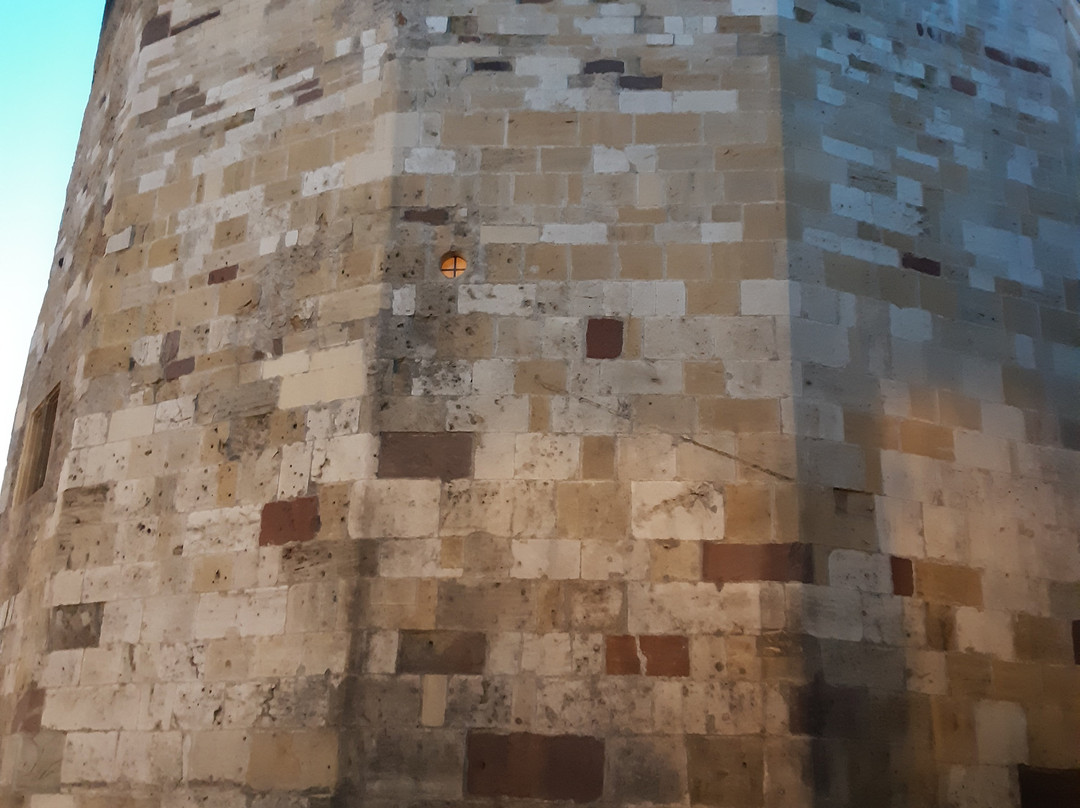 Musee de la Tour Aux Puces景点图片