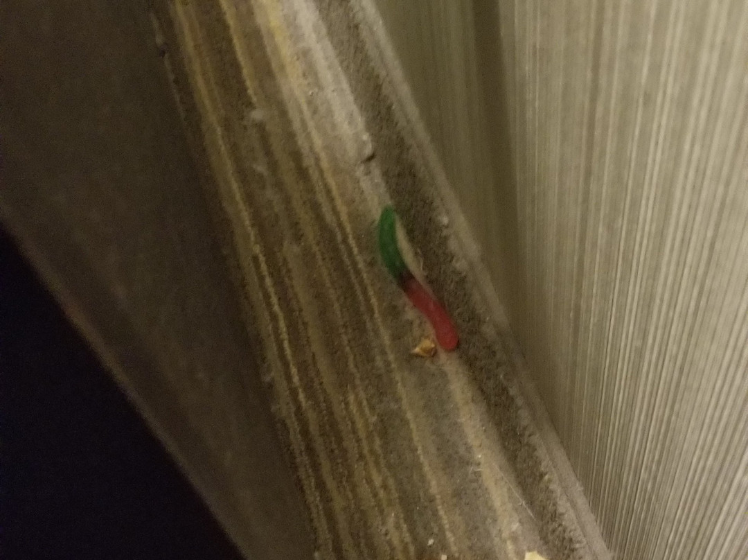 Greenstay Courtview主图