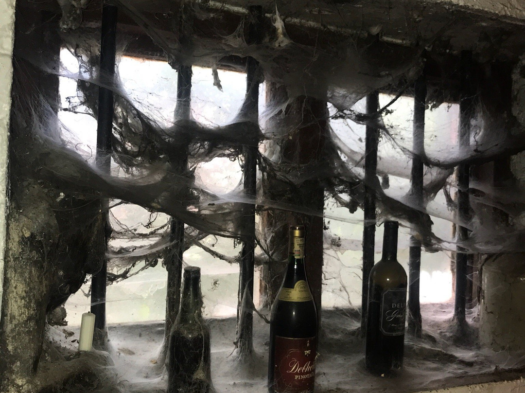 Delheim-斯泰伦博斯必去景点