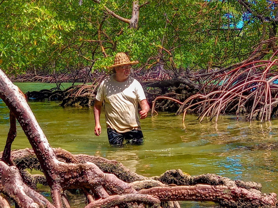 Mangue Riders-莫罗圣保罗必去景点