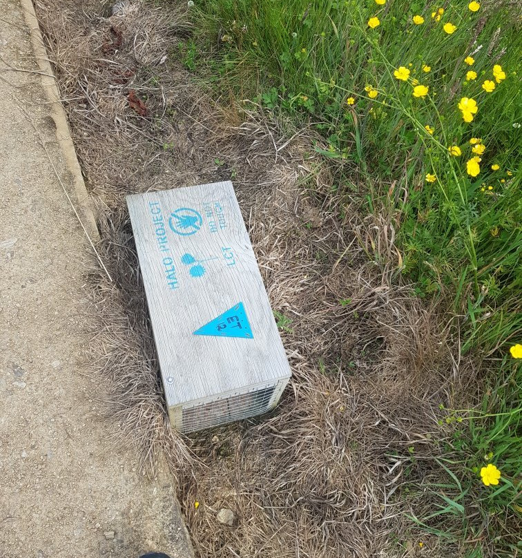 Orokonui Lagoon Walk-Waitati必去景点