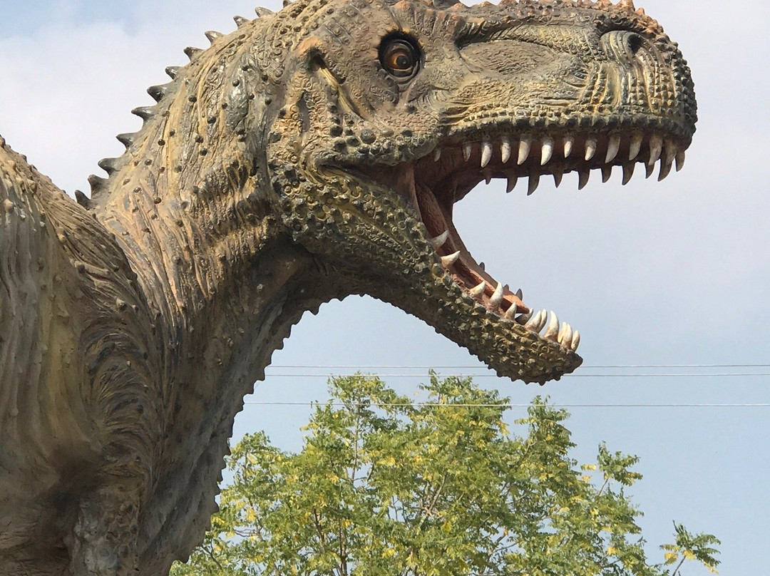 Dinosaur Fossil Park and Museum景点图片