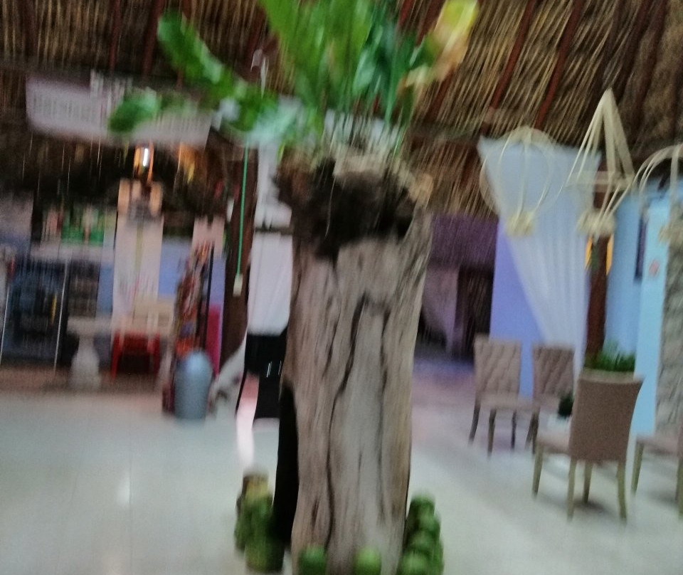 Cenote Kikil-Tizimin必去景点