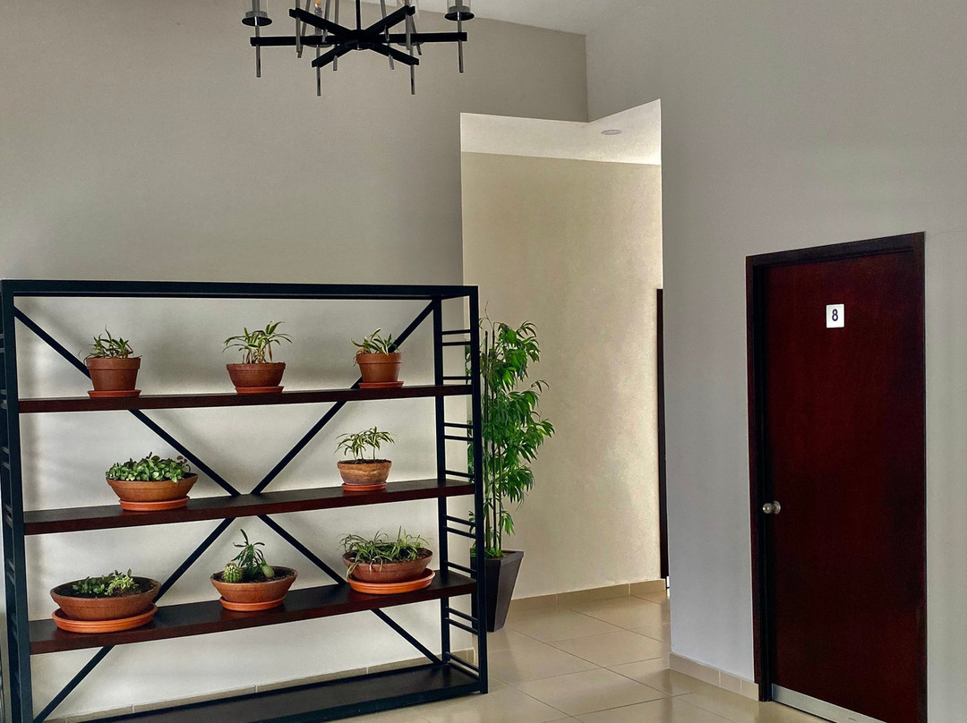 Tamuin酒店住宿-Biza Express