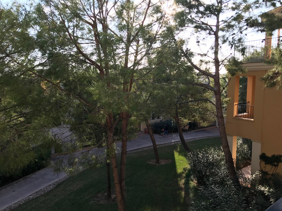 Robinson Cala Serena主图