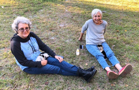 Crowley Museum and Nature Center-萨拉索塔必去景点