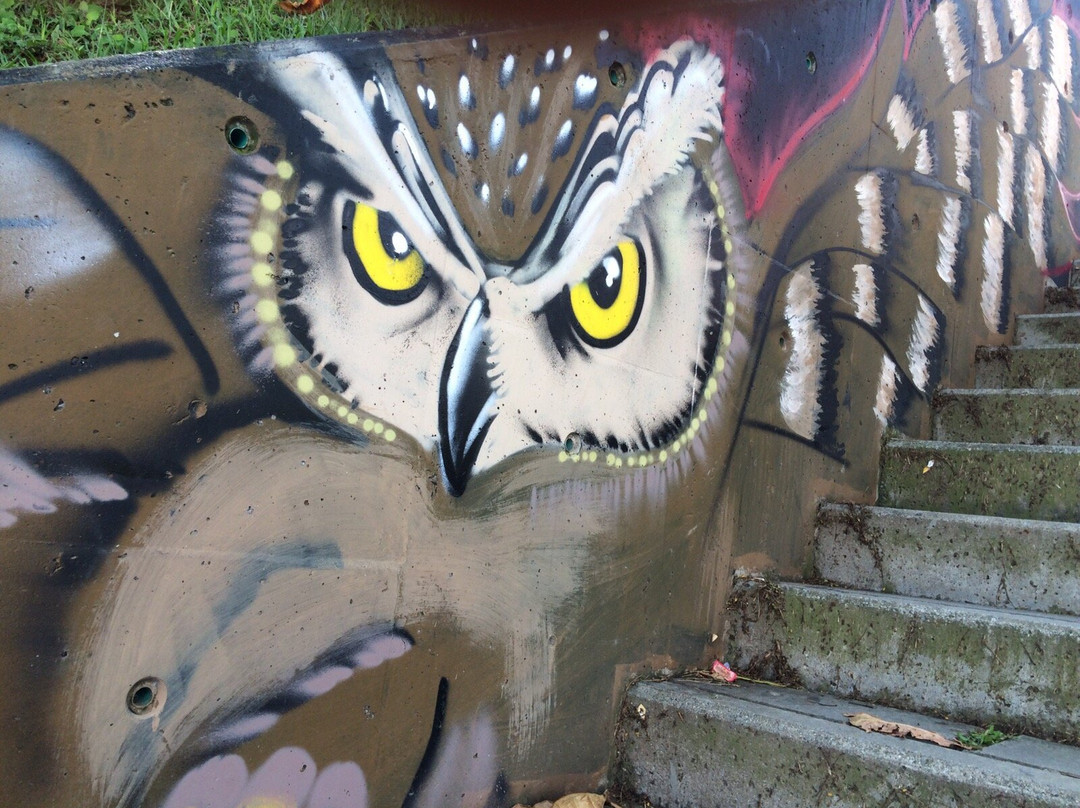 GraffitourC13-麦德林必去景点