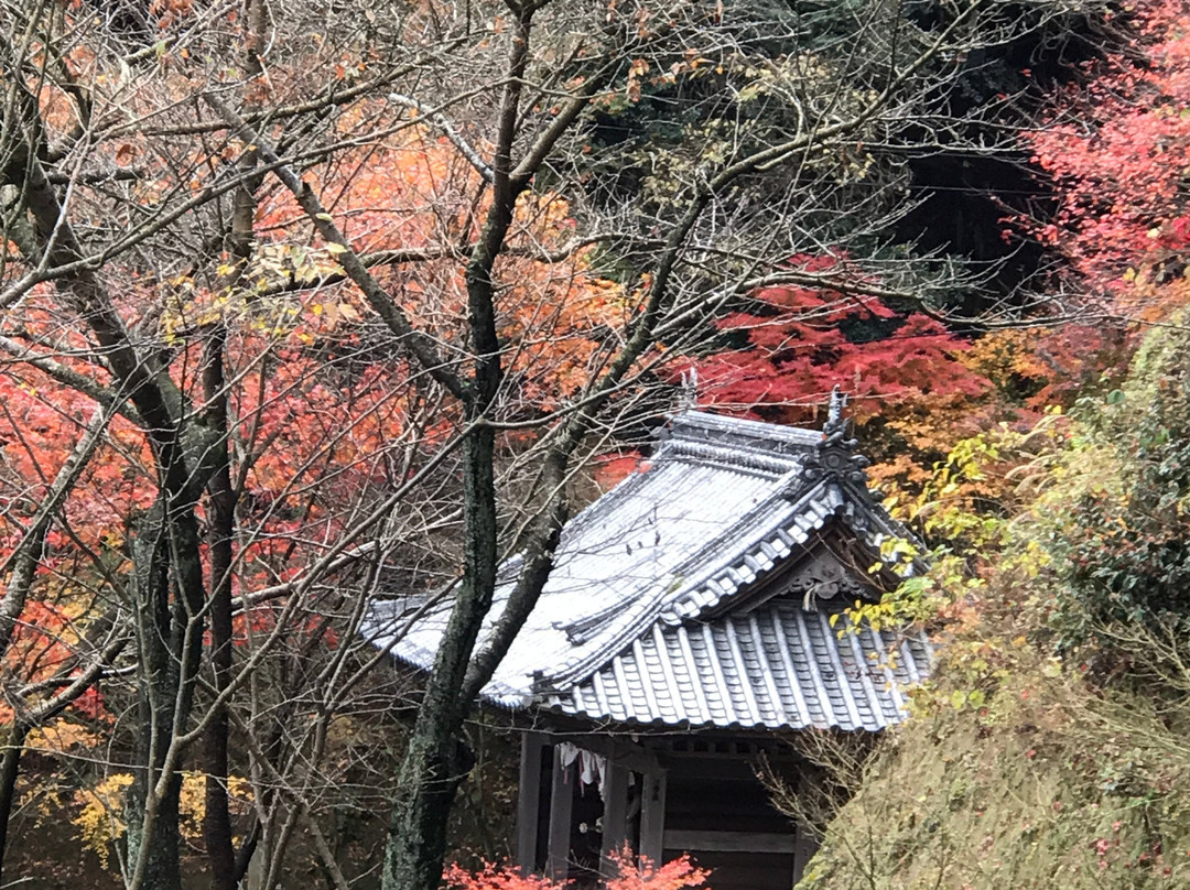 Senyuji Temple-今治市必去景点