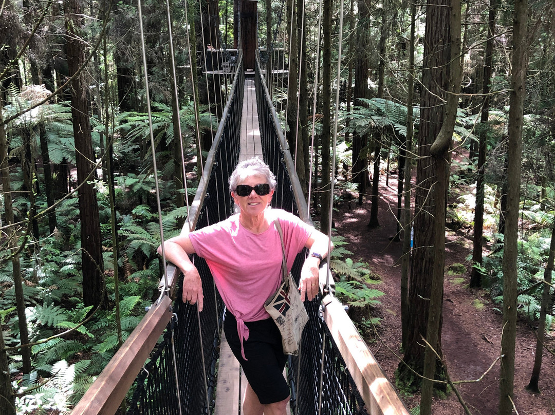 Redwoods Treewalk景点图片