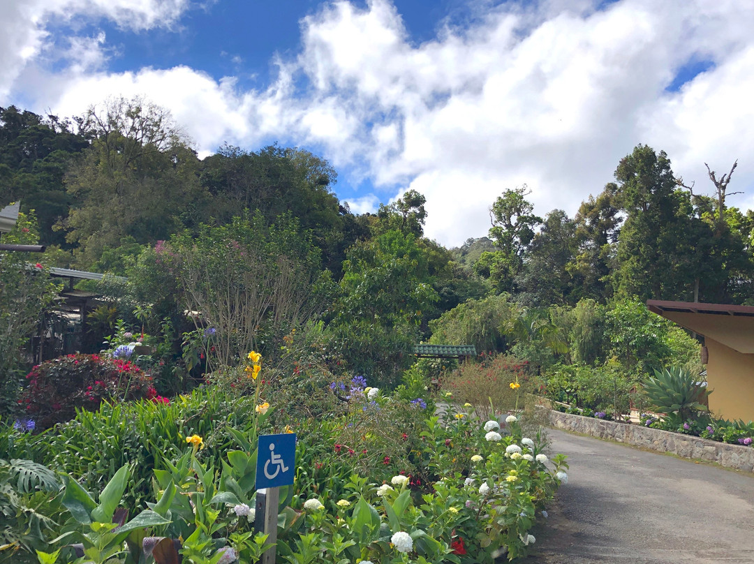 Savegre Hotel Natural Reserve & Spa主图