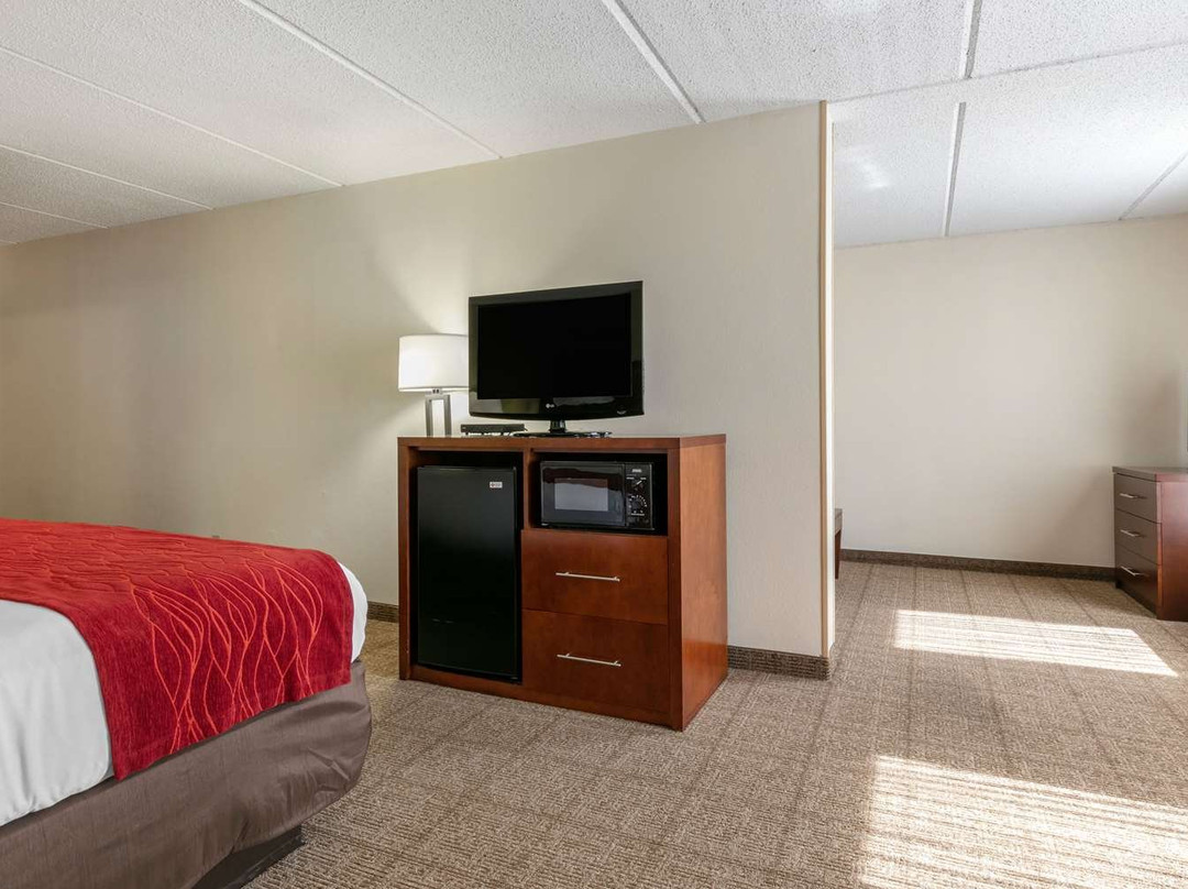 Comfort Inn Downtown主图