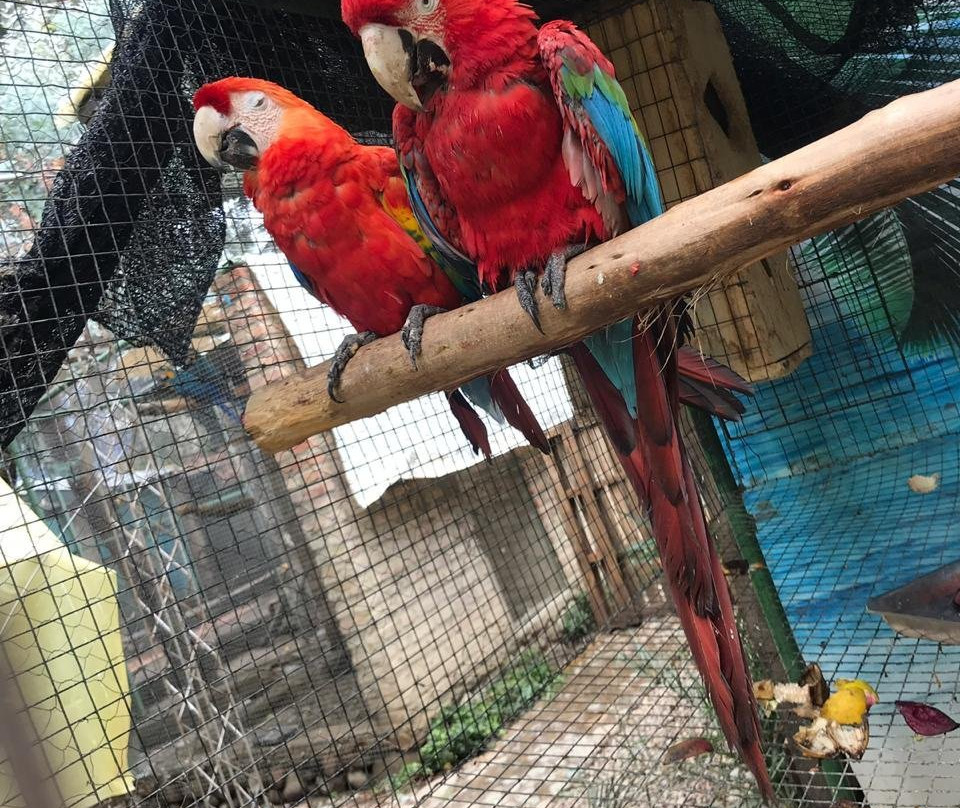 Parque de las Aves Agroflori-科恰班巴必去景点