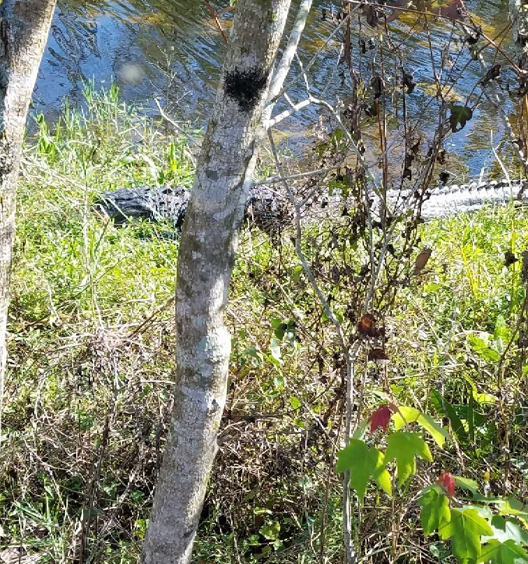 H.P. Williams Roadside Park-奥乔皮必去景点