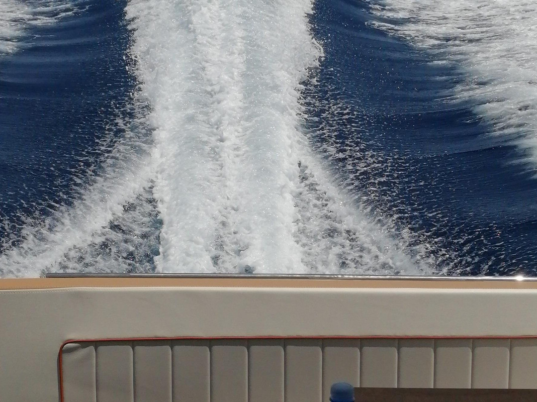 Cefalù Charter Boat Rivage-切法卢必去景点