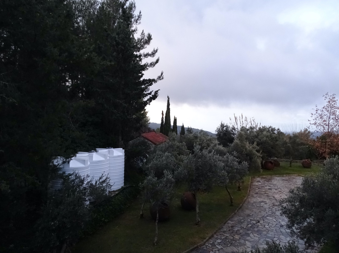 Rodon Hotel & Resort主图