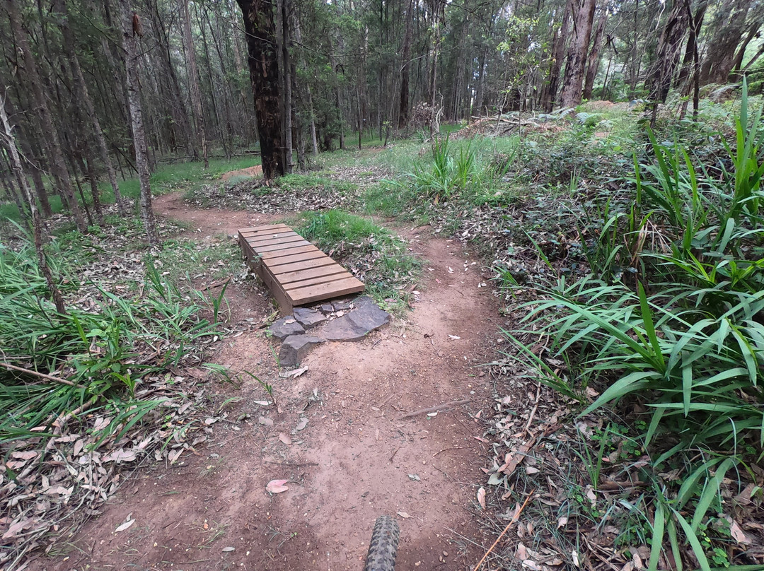 Pemberton Mountain Bike Park-彭伯顿必去景点