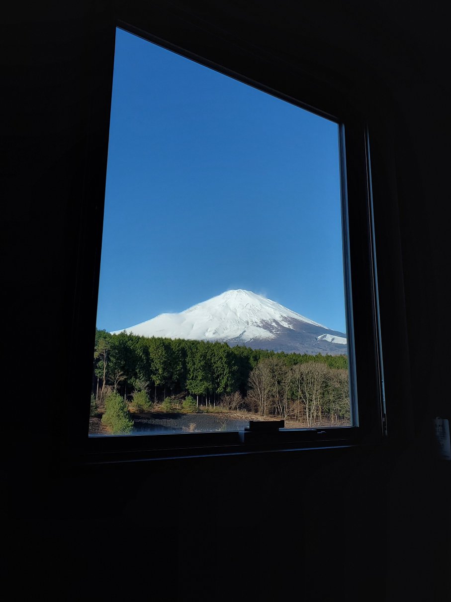 富士樱酒店-酒店景观