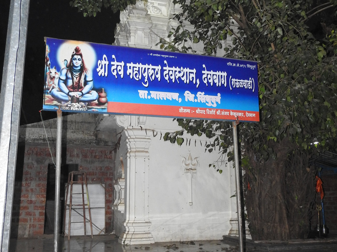 Shree Mahapurush Mandir景点图片