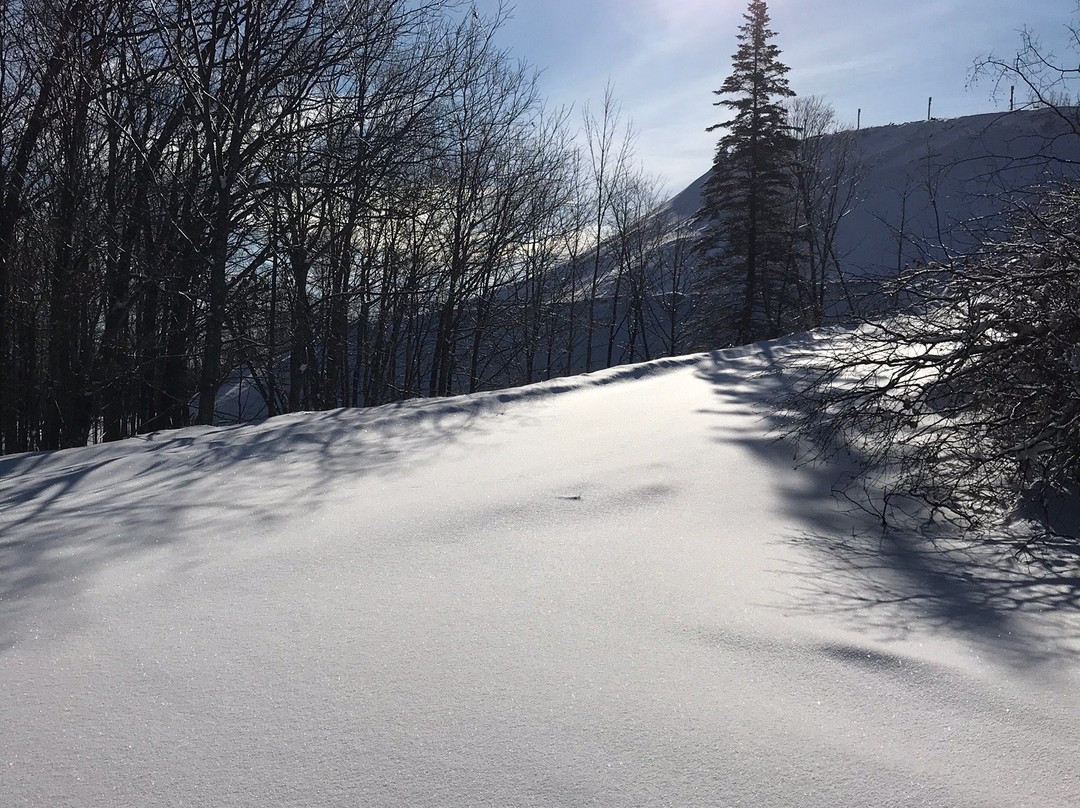 Caberfae Peaks景点图片
