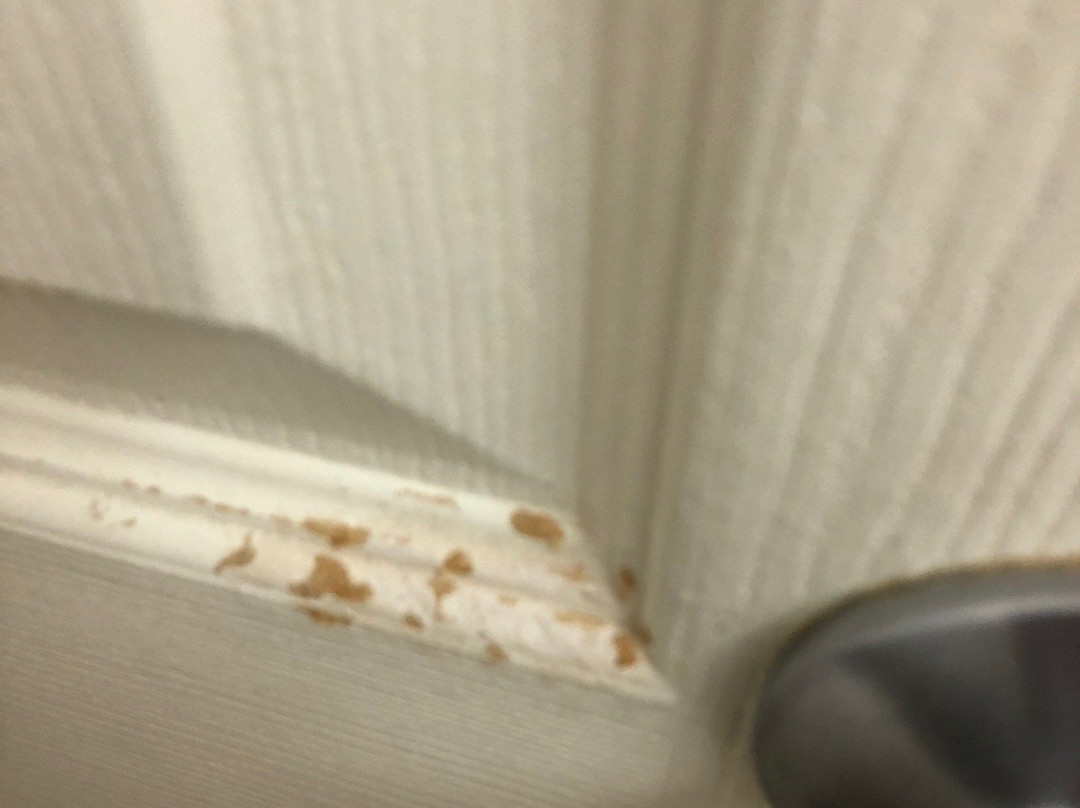 Ramada Limited Bismarck Northeast主图