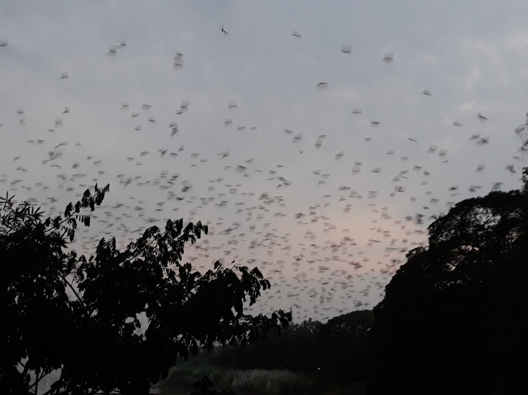 Bat Cave景点图片