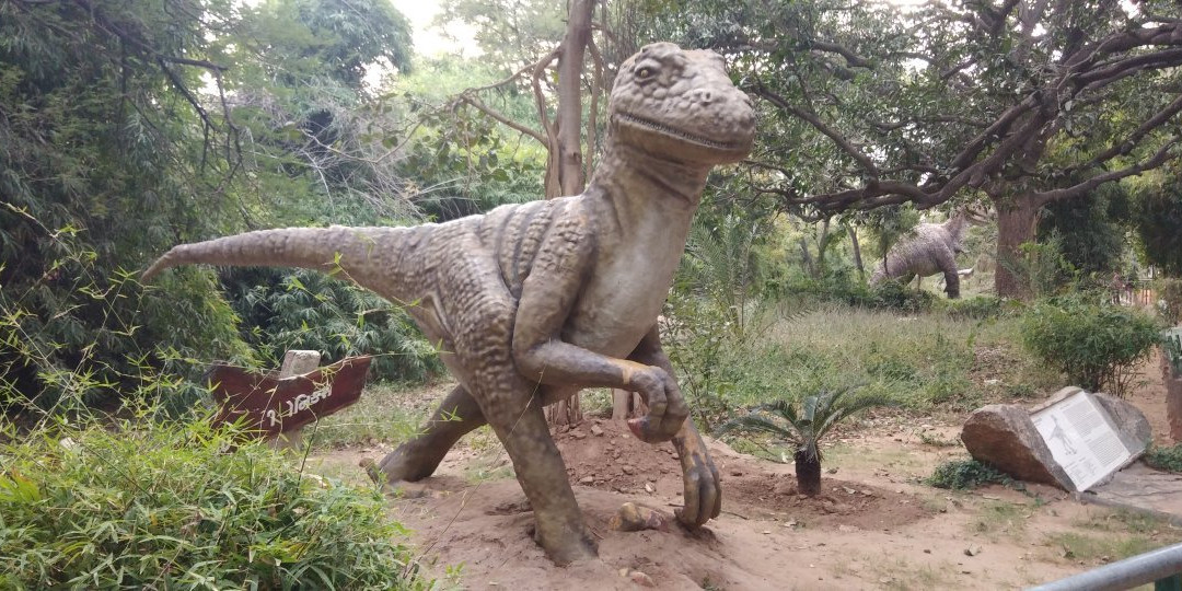 Indroda Nature Park景点图片