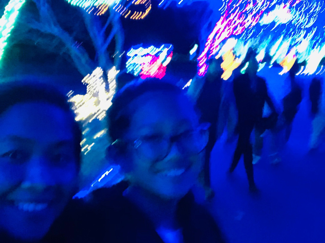 Norfolk Botanical Garden-诺福克必去景点