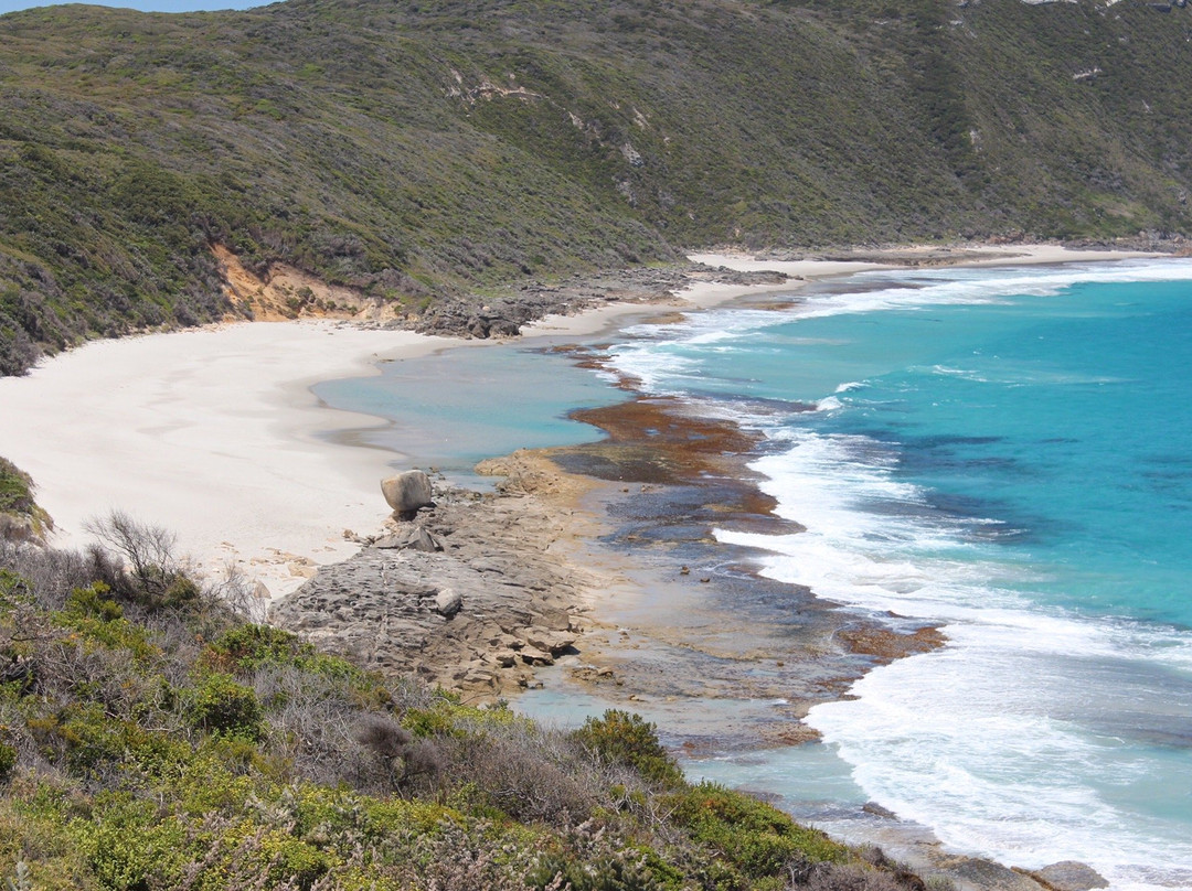 Cable Beach-奥尔巴尼必去景点