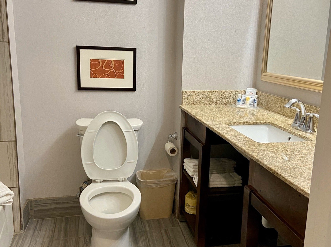 Comfort Inn & Suites Lovington主图