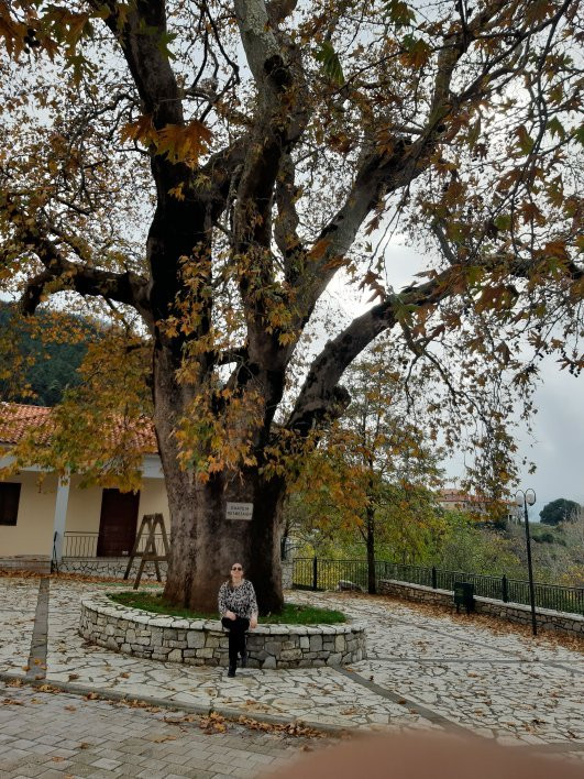 Pyrgos Petzemeon-卡拉夫里塔必去景点